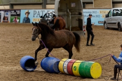 DSC00092_fb