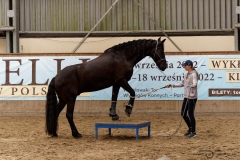 DSC00127_fb