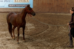DSC09467_fb