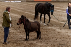 DSC09472_fb