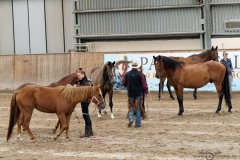DSC09488_fb