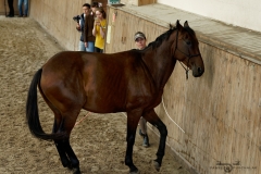 DSC09514_fb