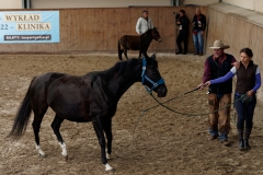 DSC09521_fb
