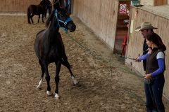 DSC09523_fb
