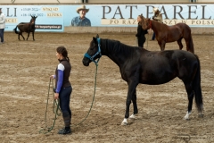 DSC09543_fb
