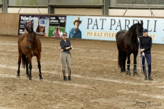 DSC09547_fb