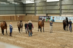 DSC09548_fb