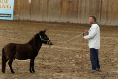 DSC09572_fb