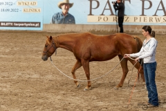 DSC09575_fb