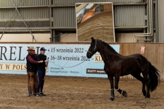 DSC09597_fb