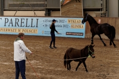 DSC09601_fb