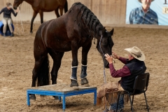 DSC09659_fb