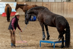 DSC09666_fb