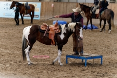 DSC09737_fb