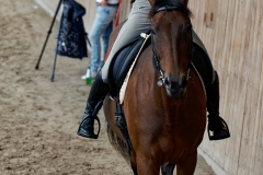 DSC09806_fb