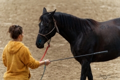 DSC09860_fb