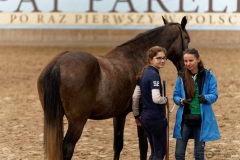 DSC09875_fb