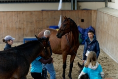 DSC09878_fb