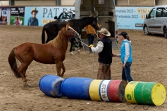 DSC09910_fb