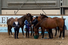 DSC09935_fb
