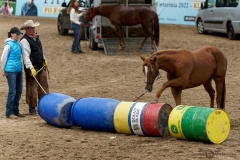DSC09936_fb